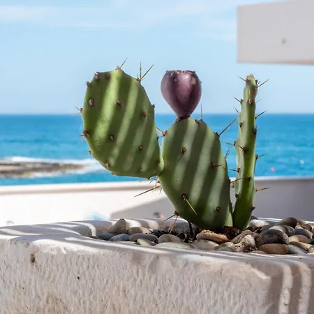 בית נופש Dimora 47