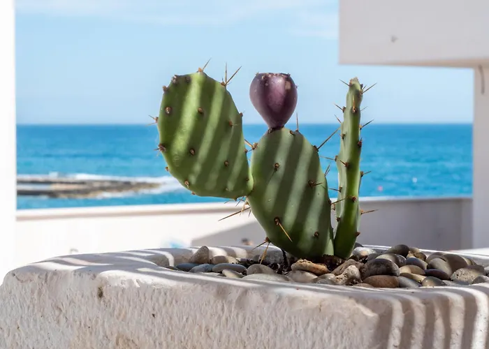 Casa vacanze Dimora 47